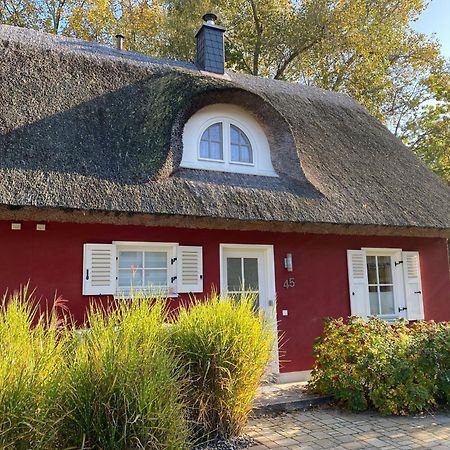 Ferienhaus Stella Glowe Luaran gambar